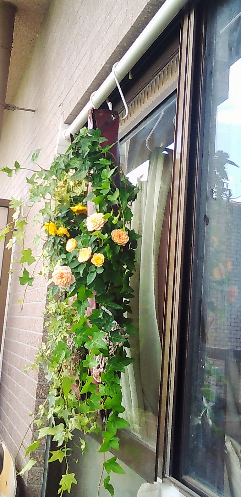 �T���v���C���[�W