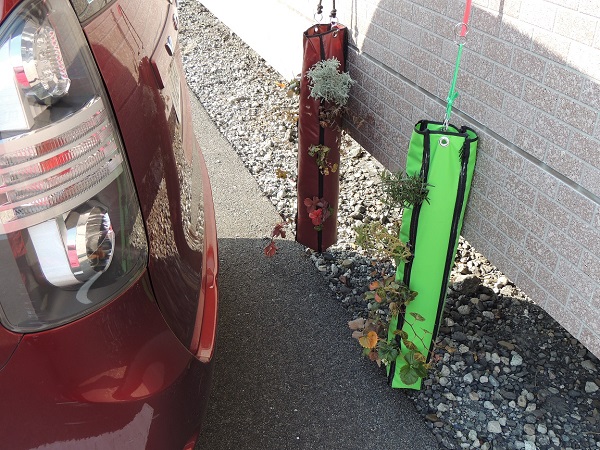 �T���v���C���[�W