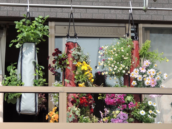 �T���v���C���[�W