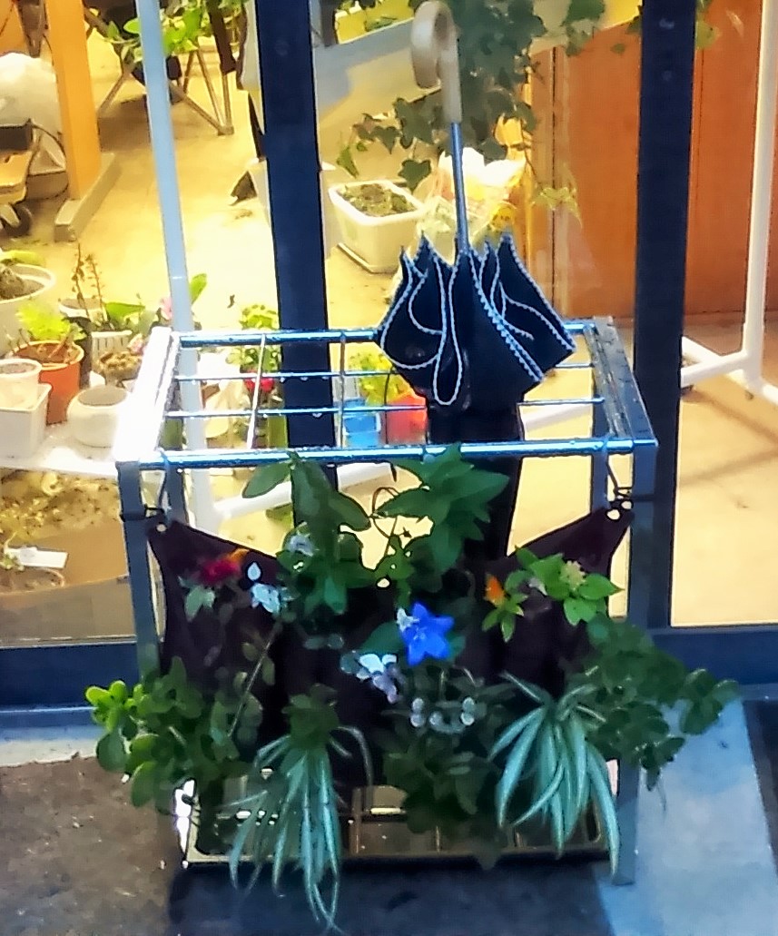 �P���ā@�Ή��@�t�@�X�i�[�O���\��