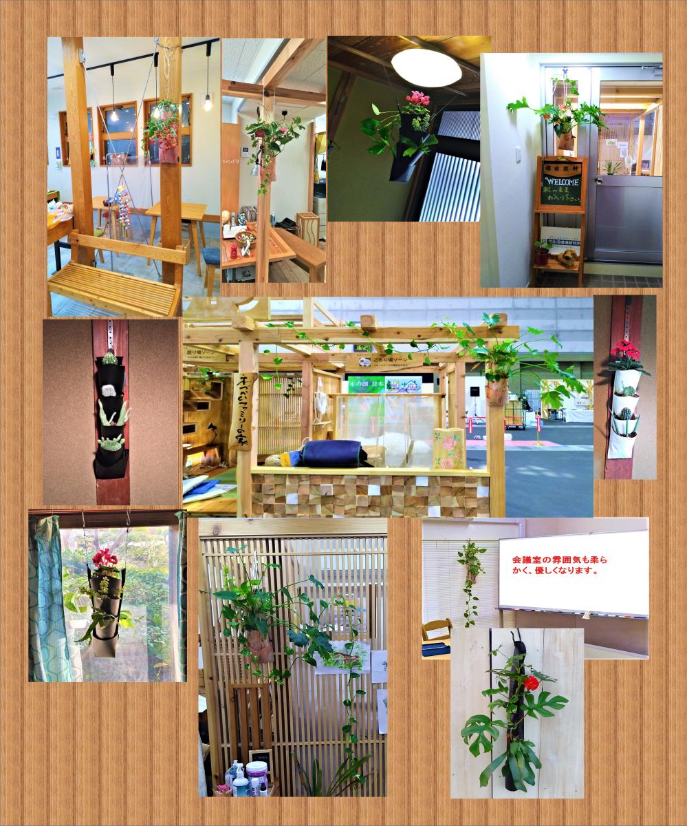 ���ۂ̊ϗt�A���A�Ή��Ɂ@�C���e���A�̗Ή��Ɂ@�I�t�B�X�̏ꏊ�����Ȃ��Ή��ɂ��l�C�B�����Ԃ����킹�Ċy���߂܂�