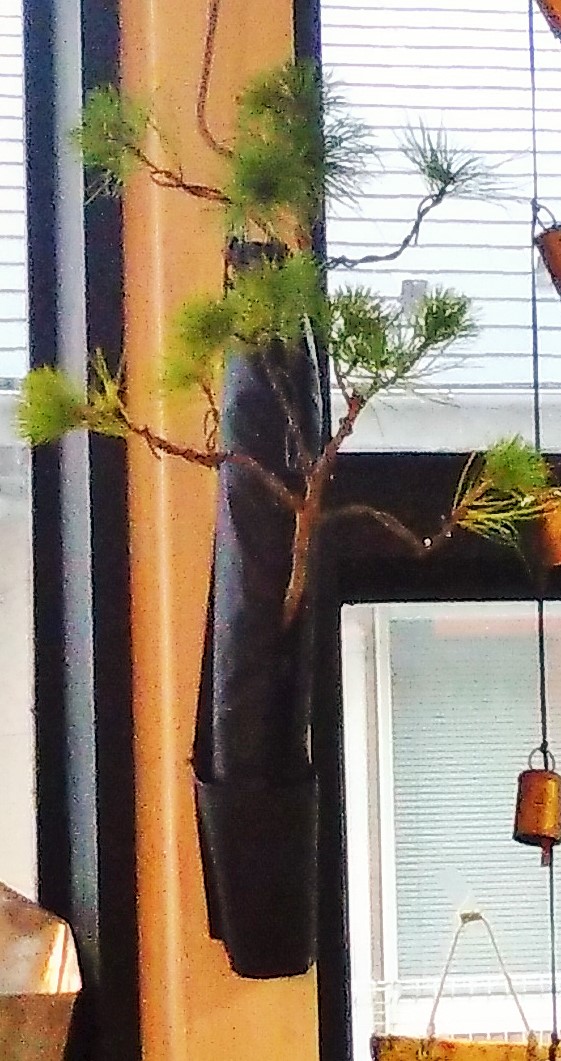 �T���v���C���[�W