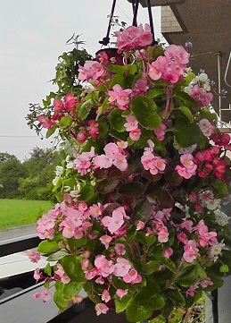 �T���v���C���[�W